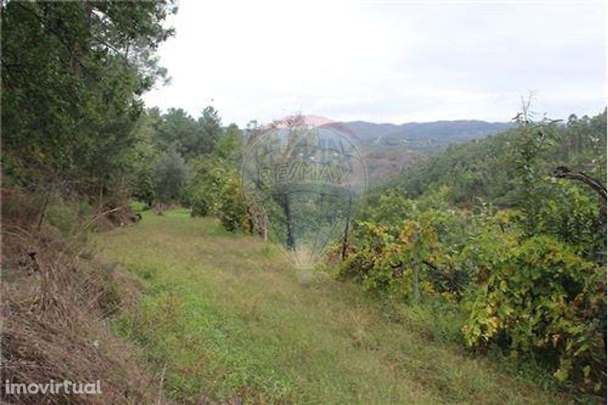 Terreno  para venda - Grande imagem: 3/9