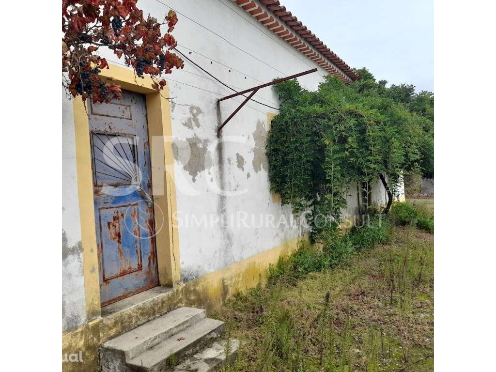 Quinta agrícola Valhascos/Sardoal - Grande imagem: 2/60