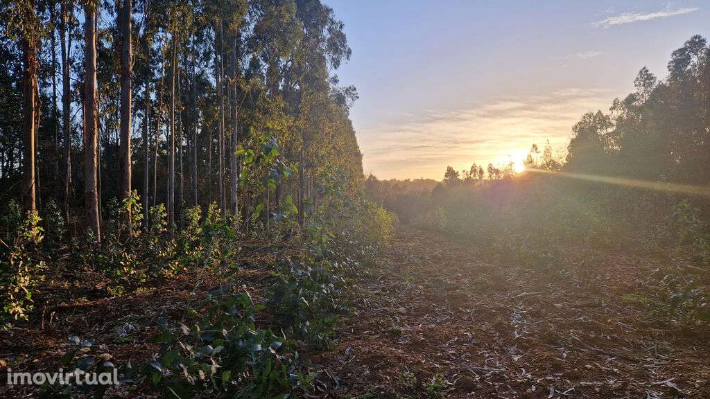 Venda Terreno - Grande imagem: 5/5