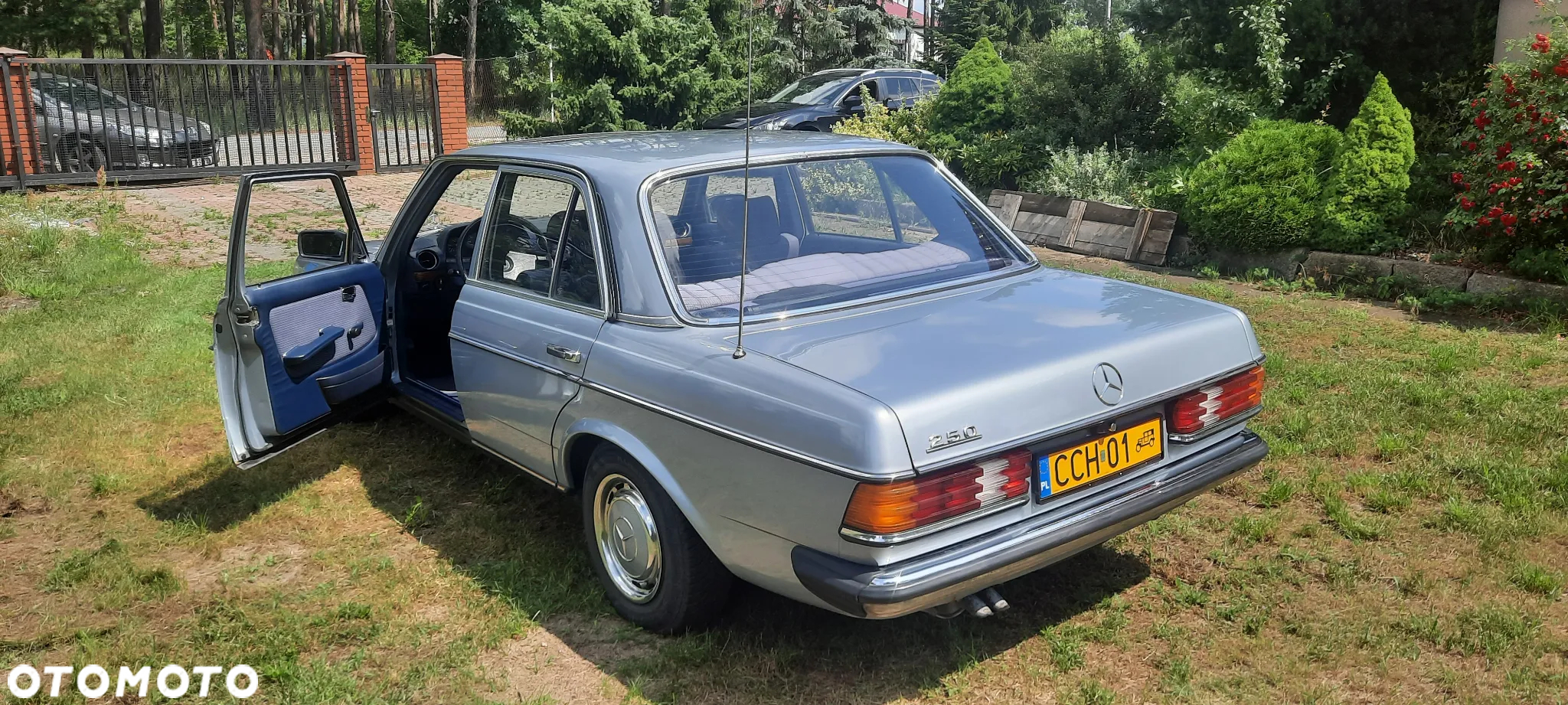 Mercedes-Benz W123 - 12