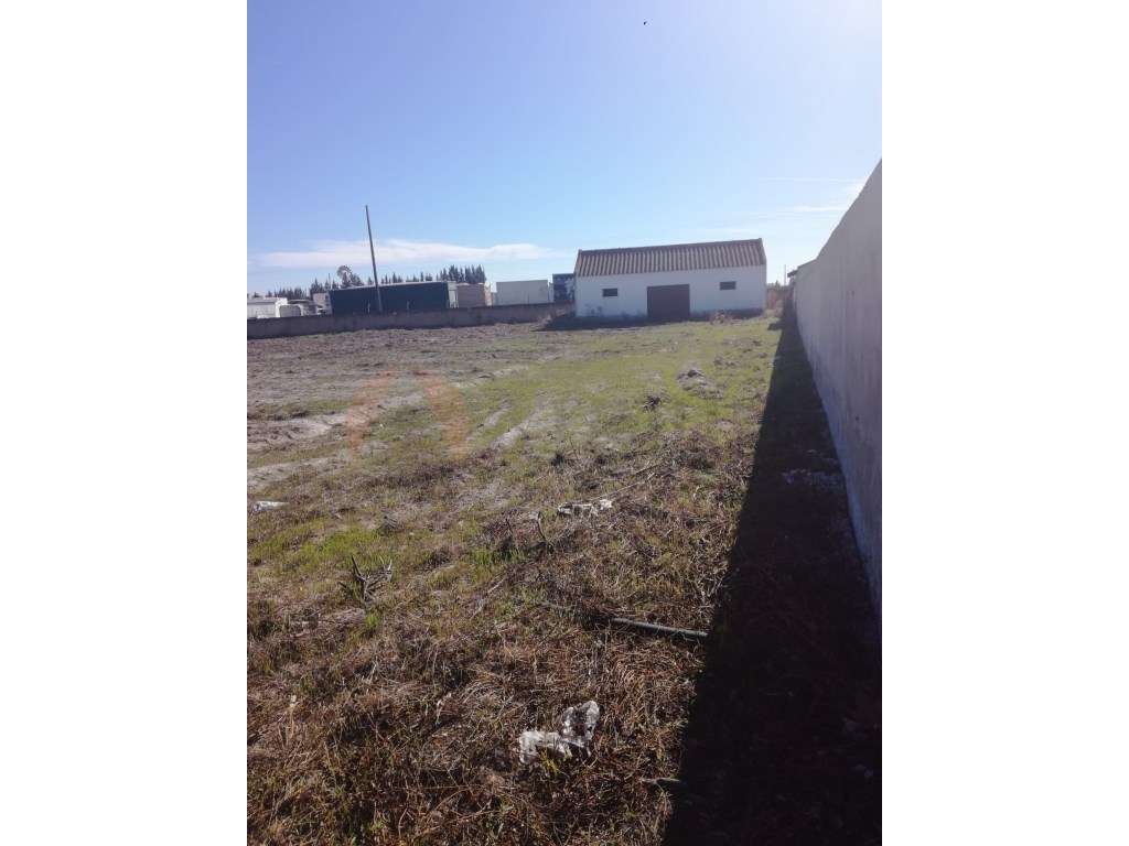 Terreno para construção, Poceirão, Palmela - Grande imagem: 4/4