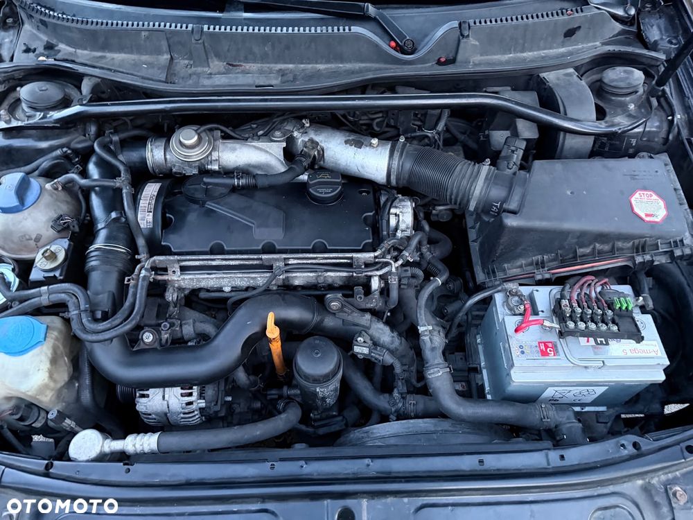 Seat Leon - 8