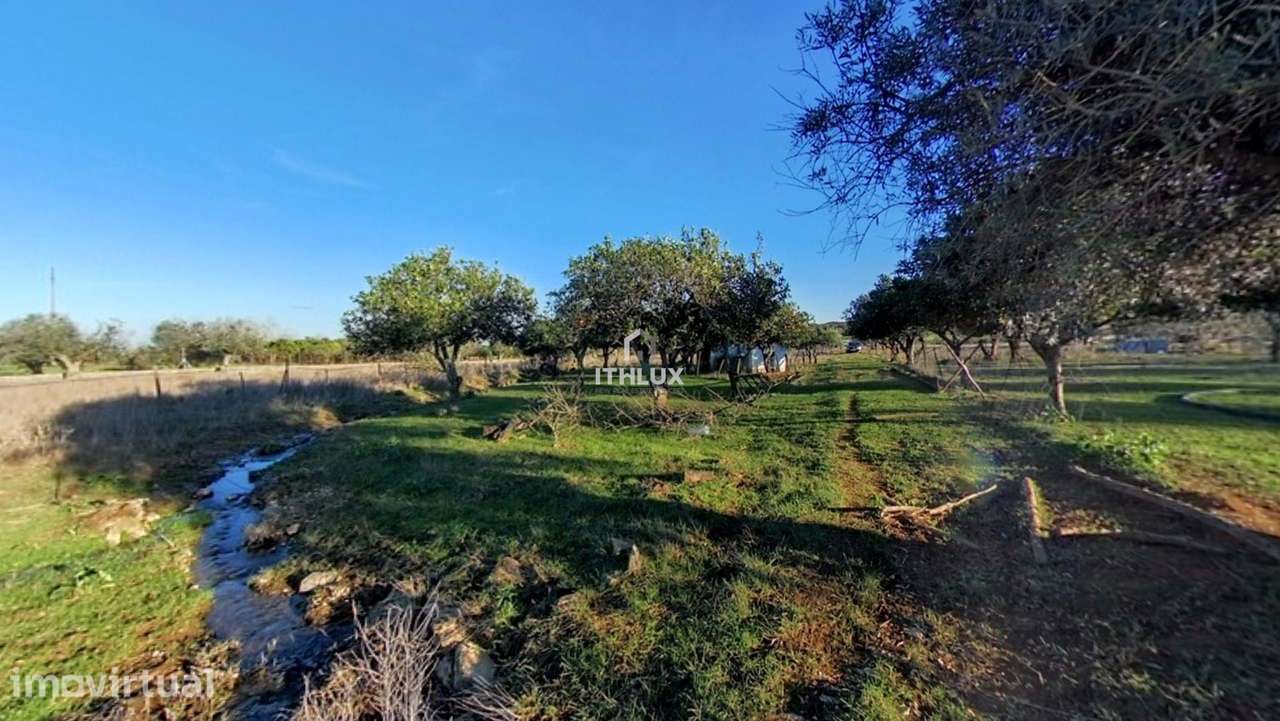 Quinta com 32.500 m2 em Elvas-Alentejo- Portugal - Grande imagem: 3/40