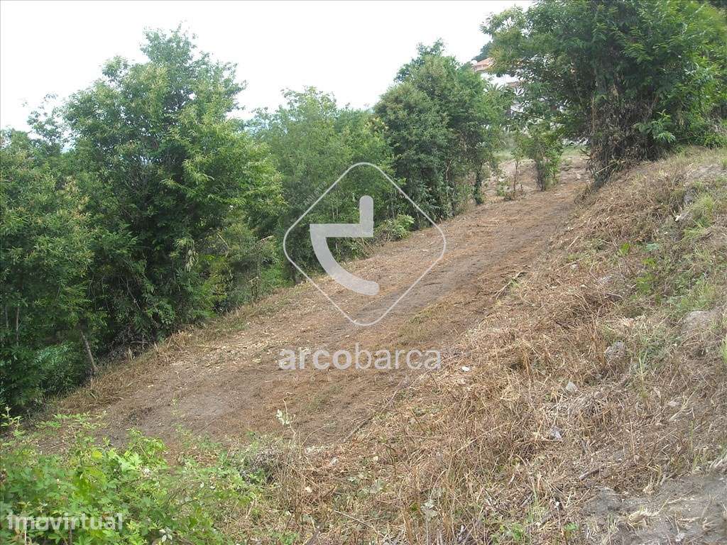 Lotes de construção junto à Vila - Grande imagem: 4/12