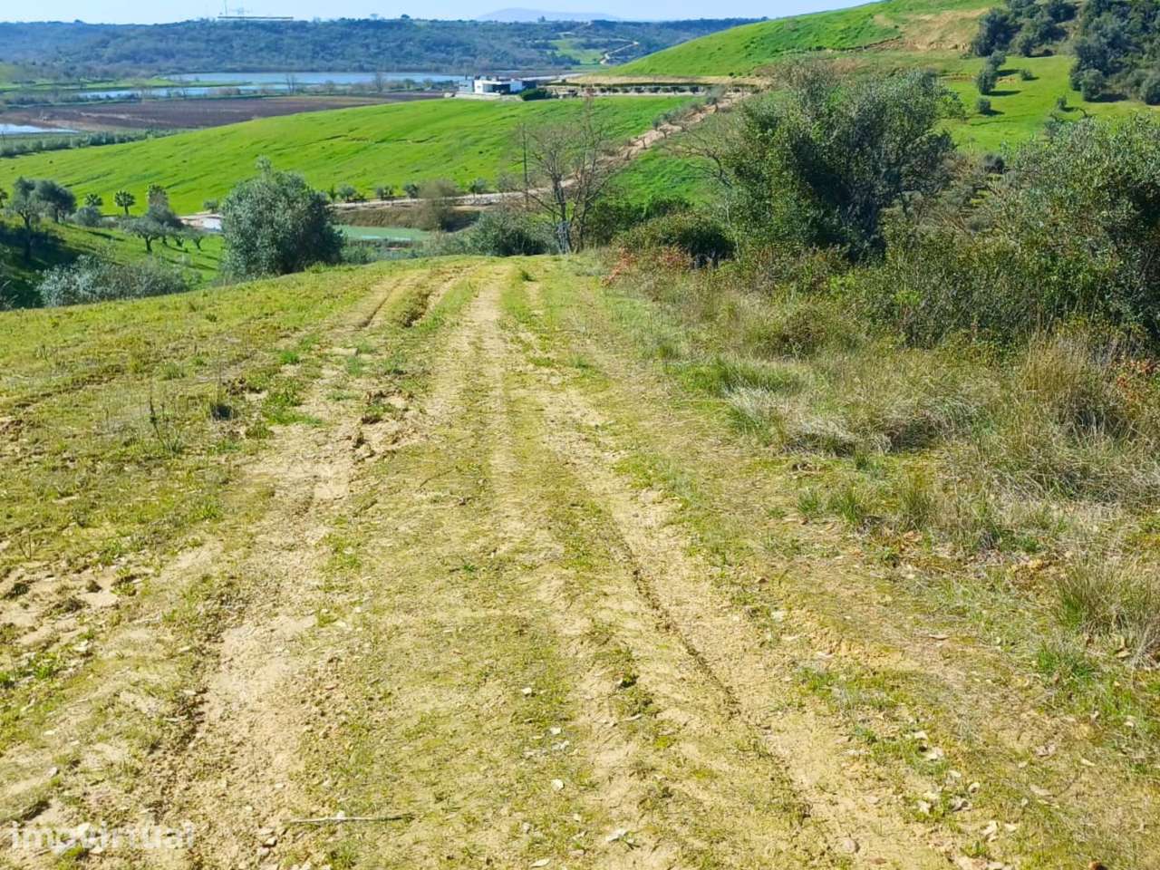 Terreno Rústico com 2 hectares - Grande imagem: 4/9