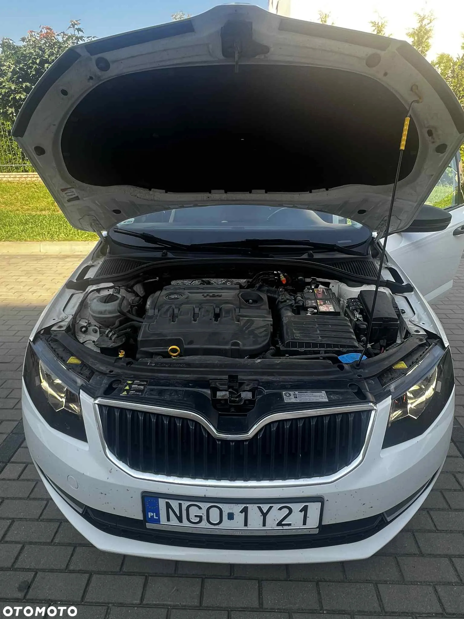 Skoda Octavia - 4