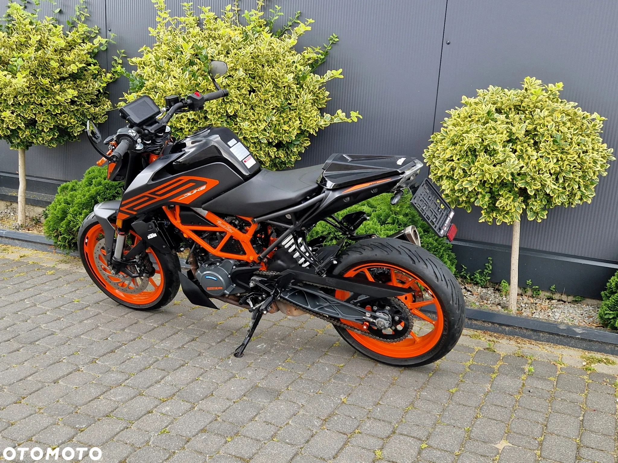 KTM Duke - 7