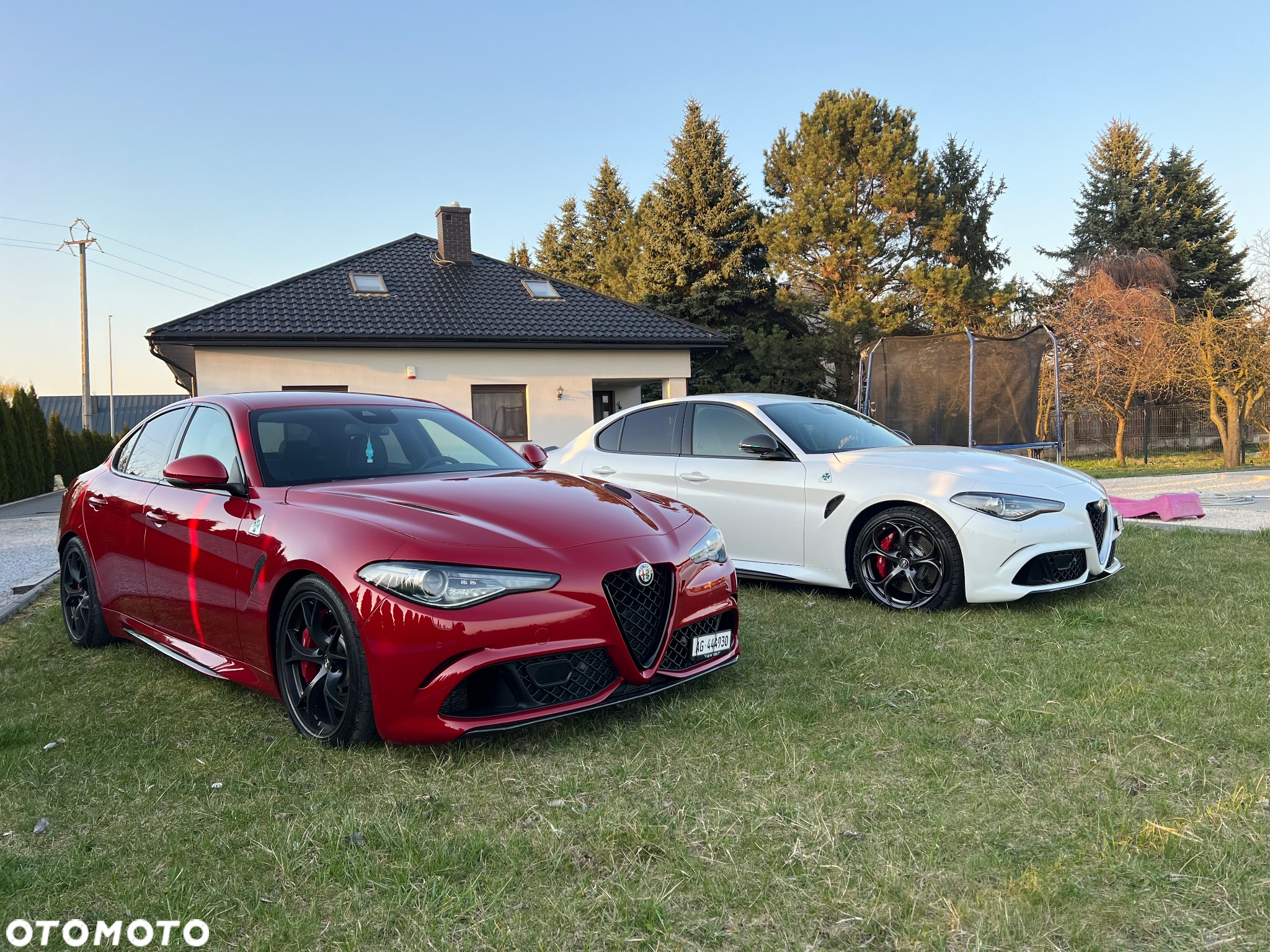 Alfa Romeo Giulia 2.9 V6 Bi-Turbo AT8 Quadrifoglio - 37