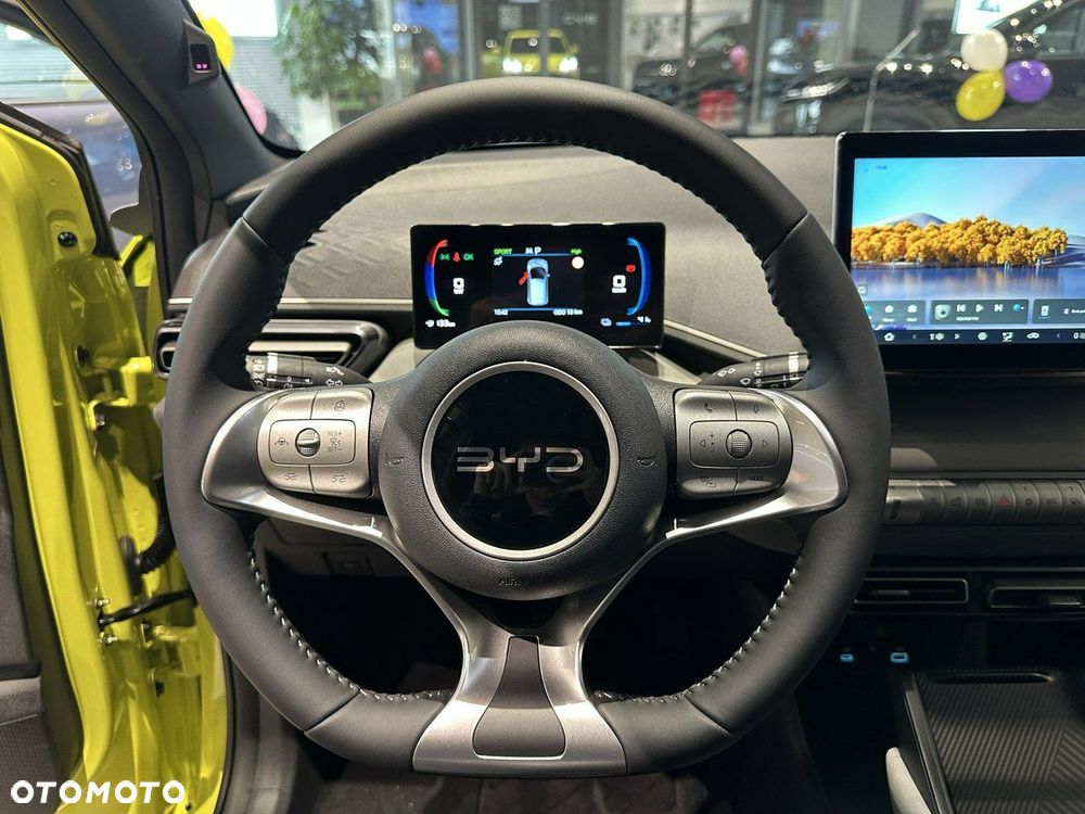 BYD Dolphin Surf - 14