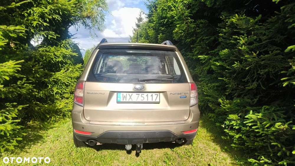 Subaru Forester - 3