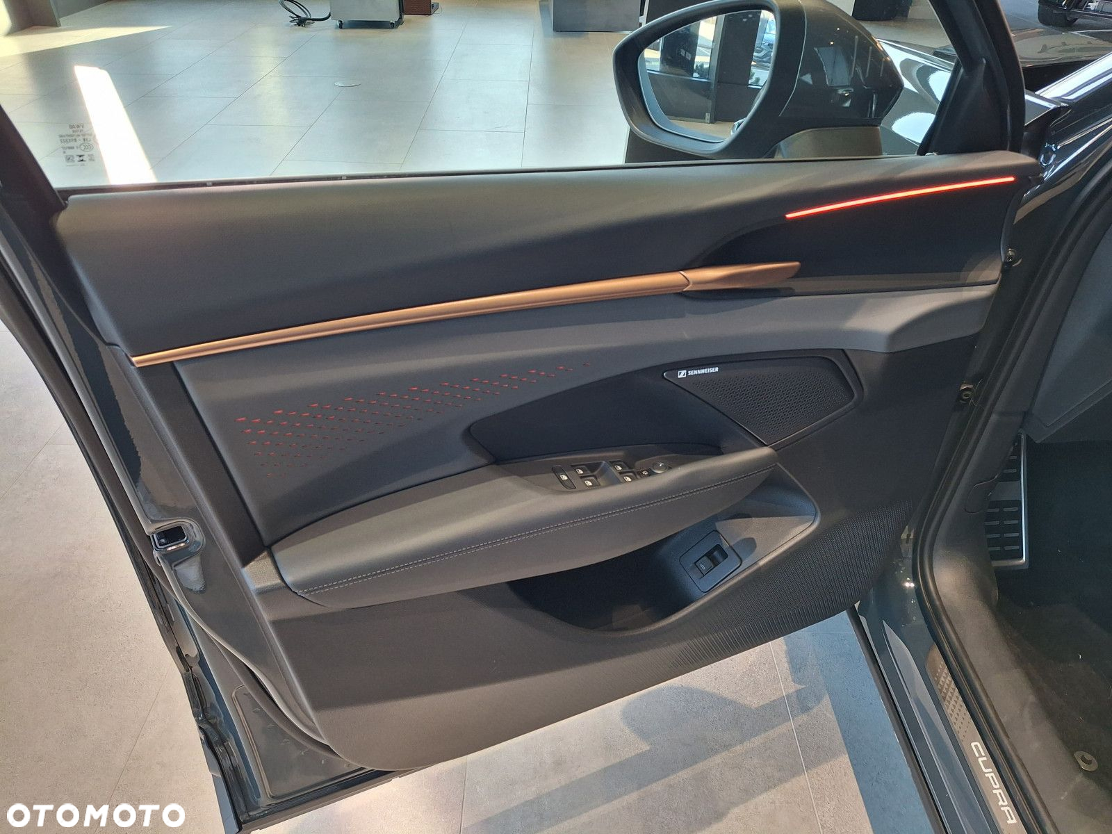 Cupra Terramar - 11