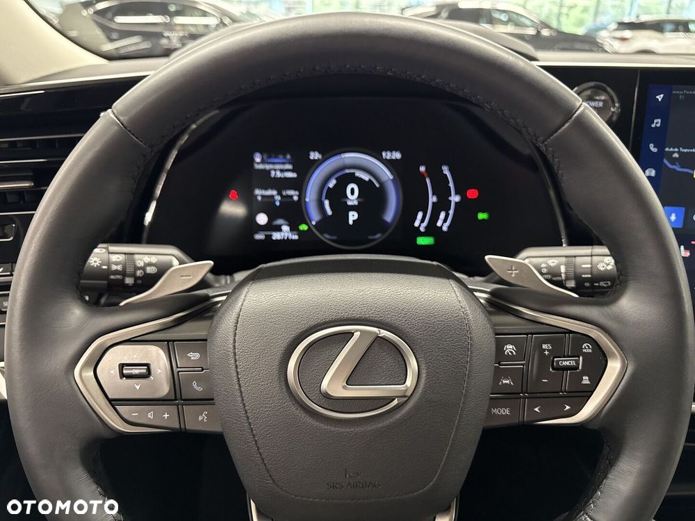 Lexus RX - 21
