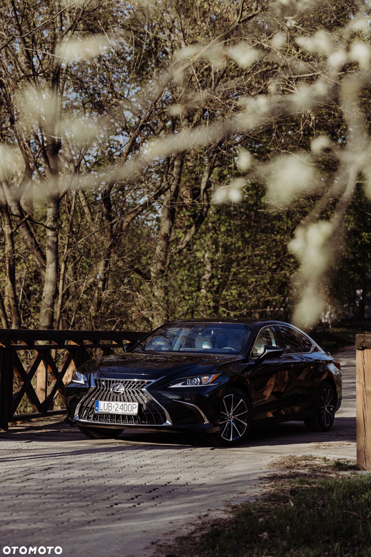 Lexus ES 300h Business Edition - 1