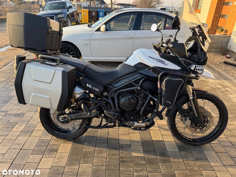 Triumph Tiger - 14