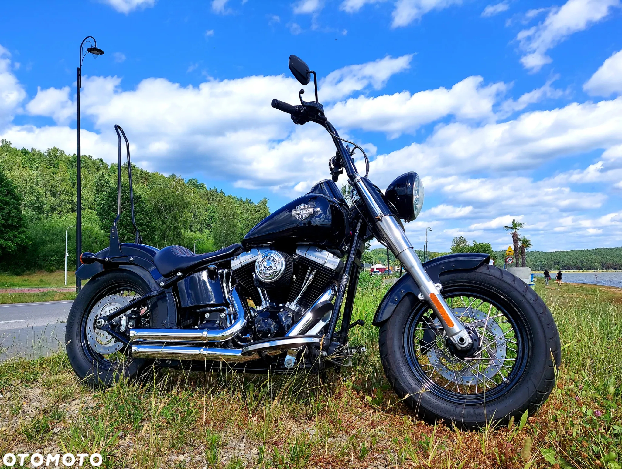 Harley-Davidson Softail Slim - 13