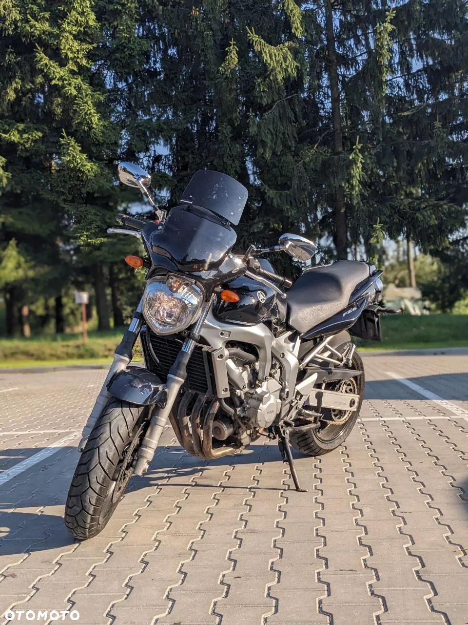 Yamaha FZ6 - 1
