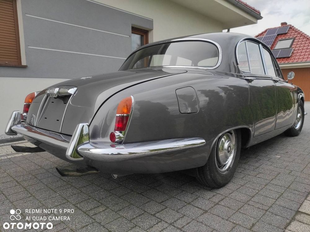 Jaguar Inny - 12