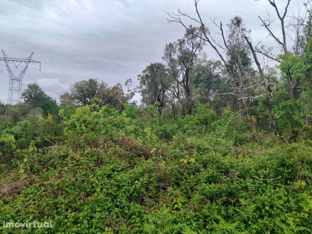 Terreno Industrial com 8.702m² - Localização Premium junto à A25 (A... - Grande imagem: 3/15