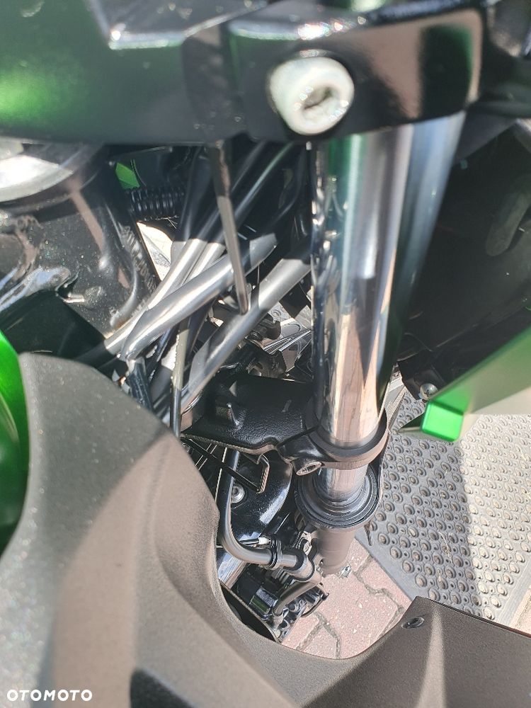 Kawasaki Z - 31