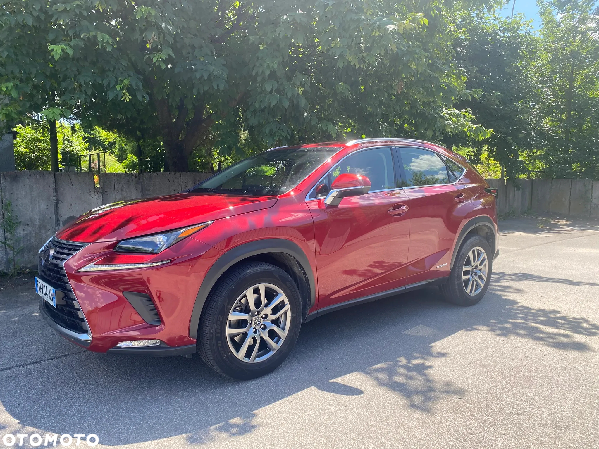 Lexus NX 300h Elegance AWD - 5