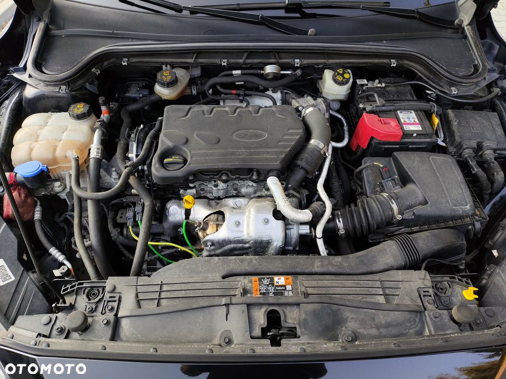 Ford Focus 1.5 EcoBlue Connected - 25
