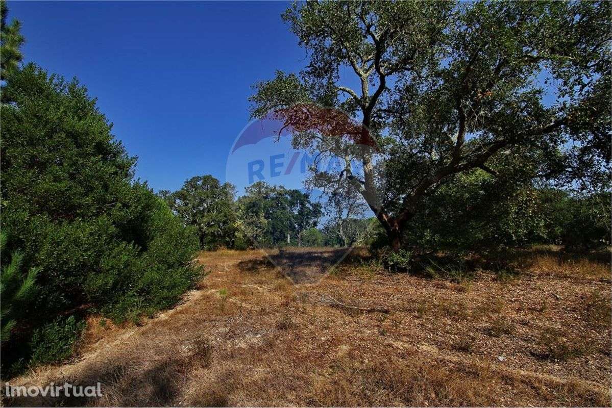 Terreno  para venda - Grande imagem: 4/9