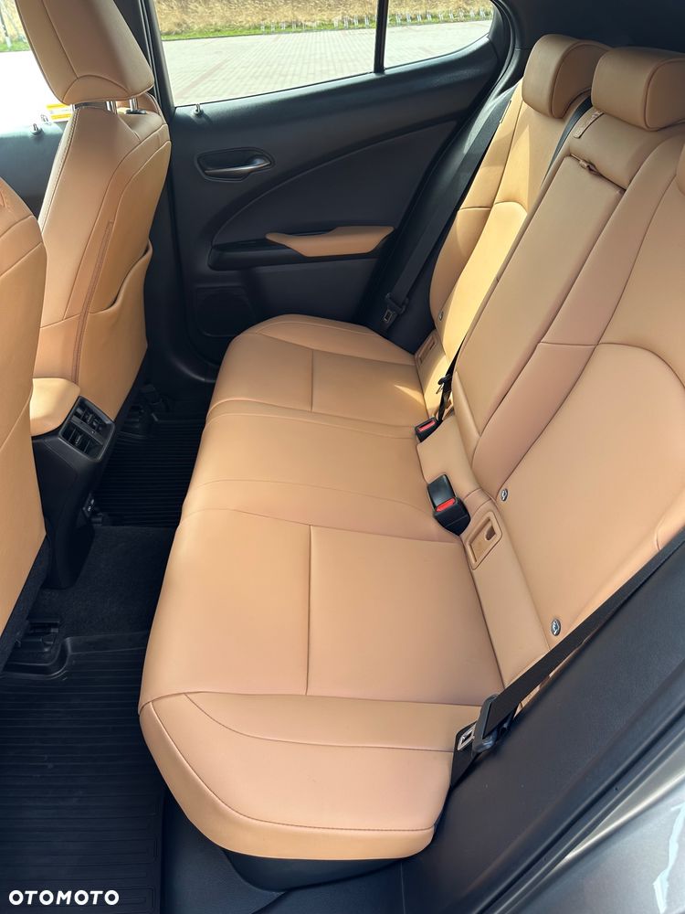 Lexus UX - 14