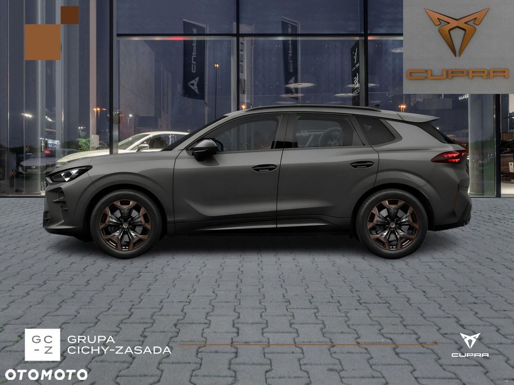 Cupra Terramar - 2