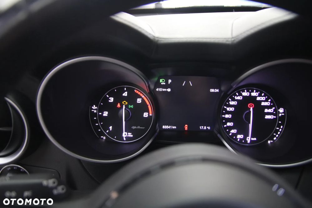 Alfa Romeo Stelvio 2.2 JTDM TI Q4 - 20