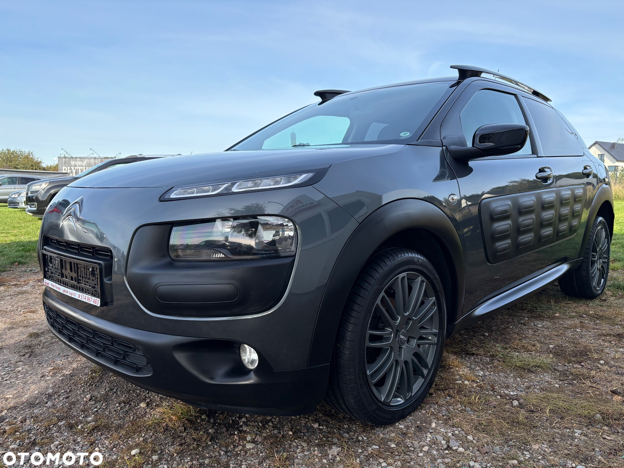 Citroën C4 Cactus 1.6 e-HDi Shine ETG - 12