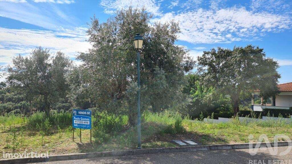 Terreno em Chamusca e Pinheiro Grande de 647,00 m2 - Grande imagem: 3/11