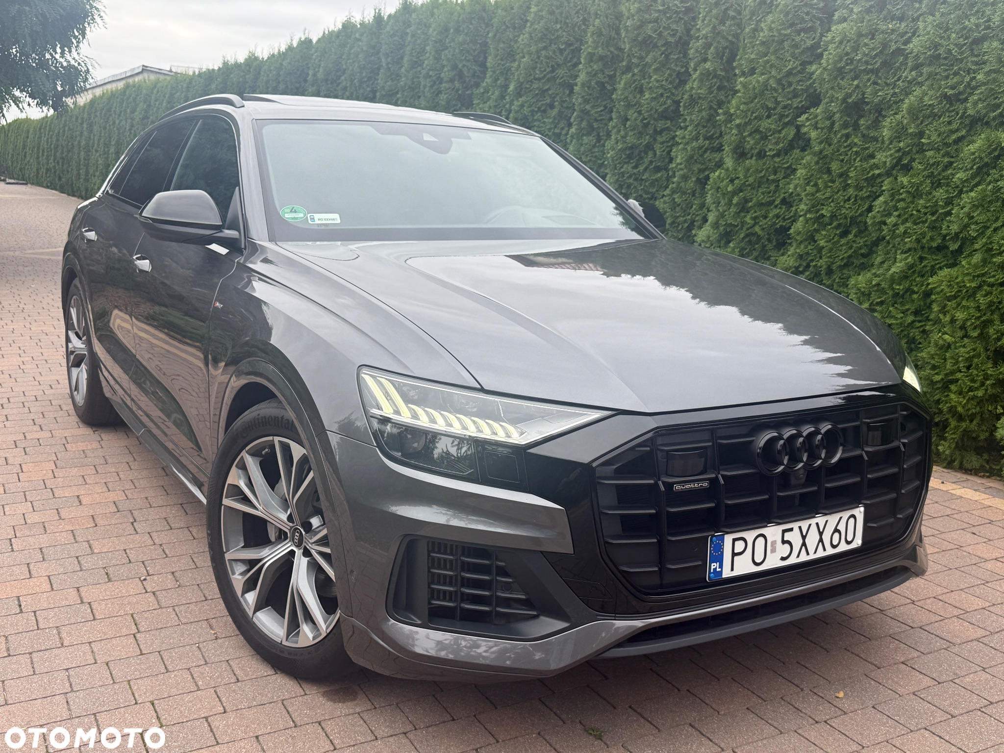 Audi Q8 - 21
