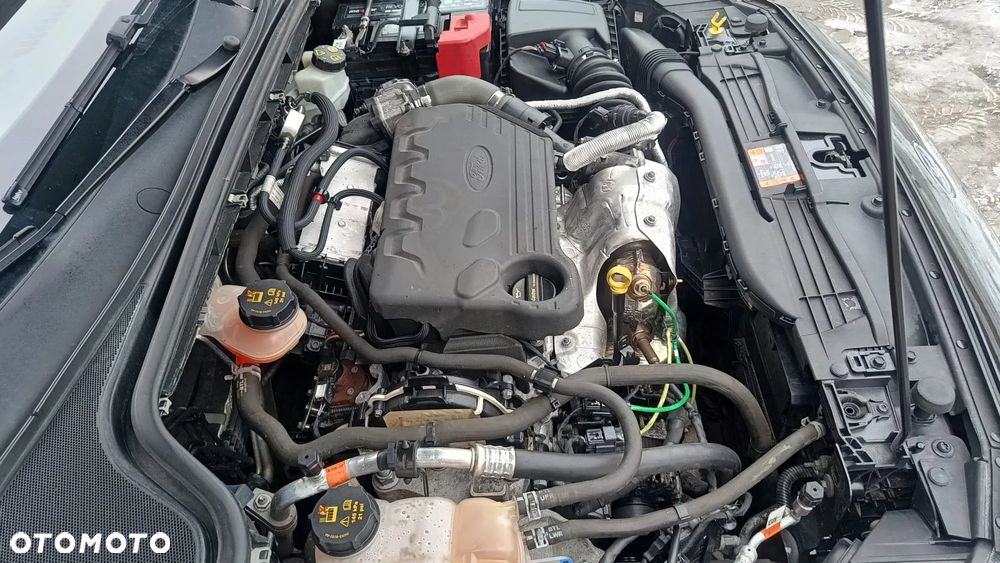 Ford Focus - 8