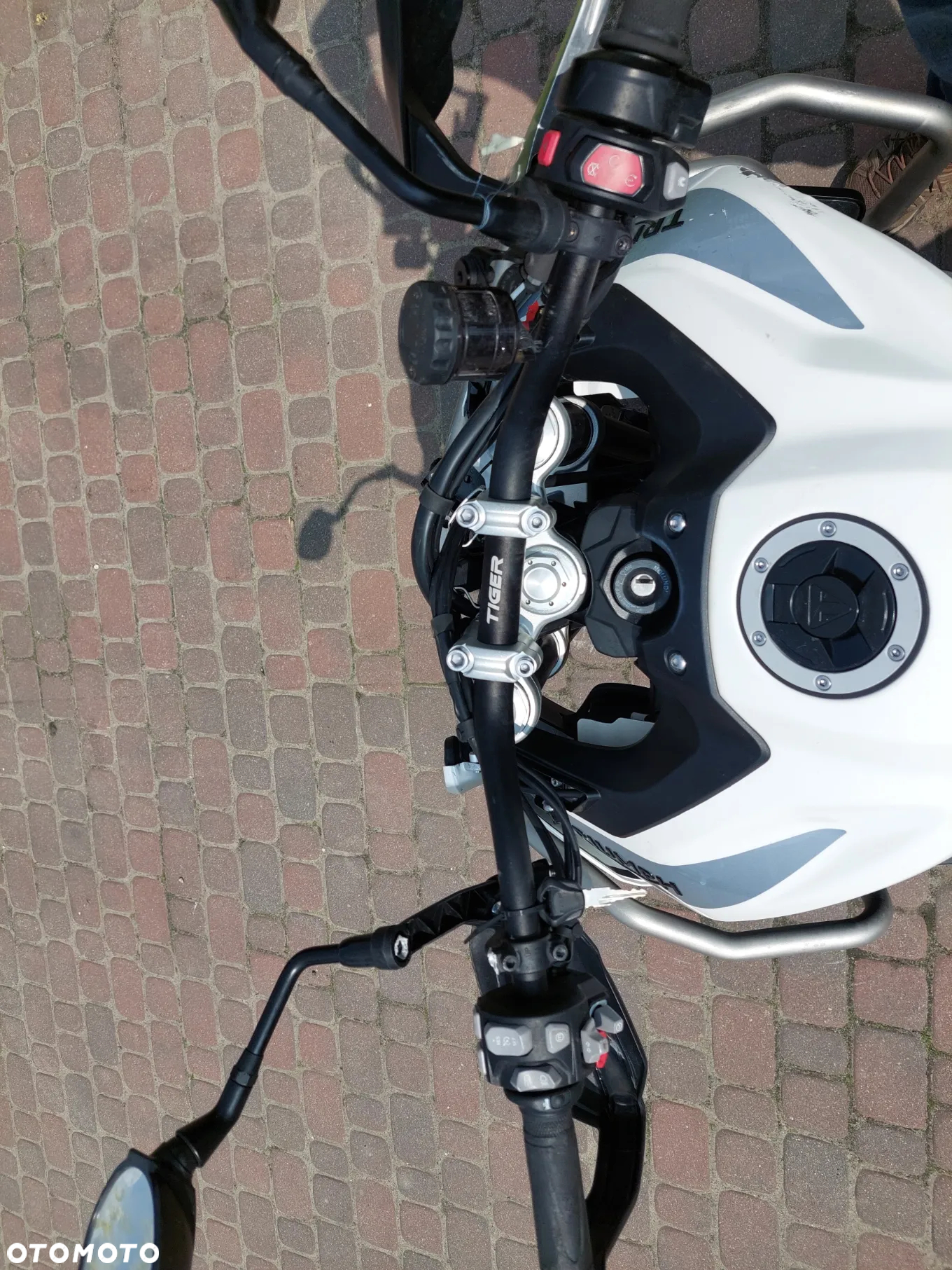 Triumph Tiger - 15