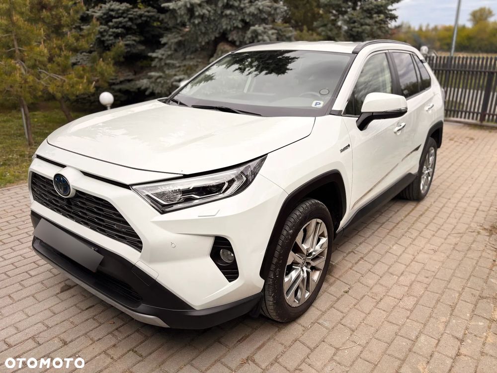 Toyota RAV4 2.5 Hybrid Executive 4x4 - 6