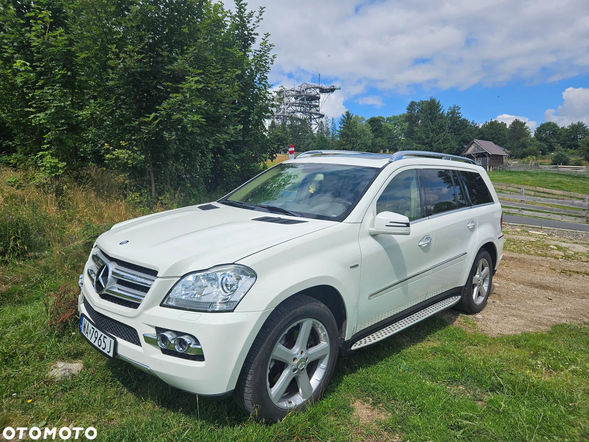 Mercedes-Benz GL 350 BlueTEC 4Matic 7G-TRONIC - 1