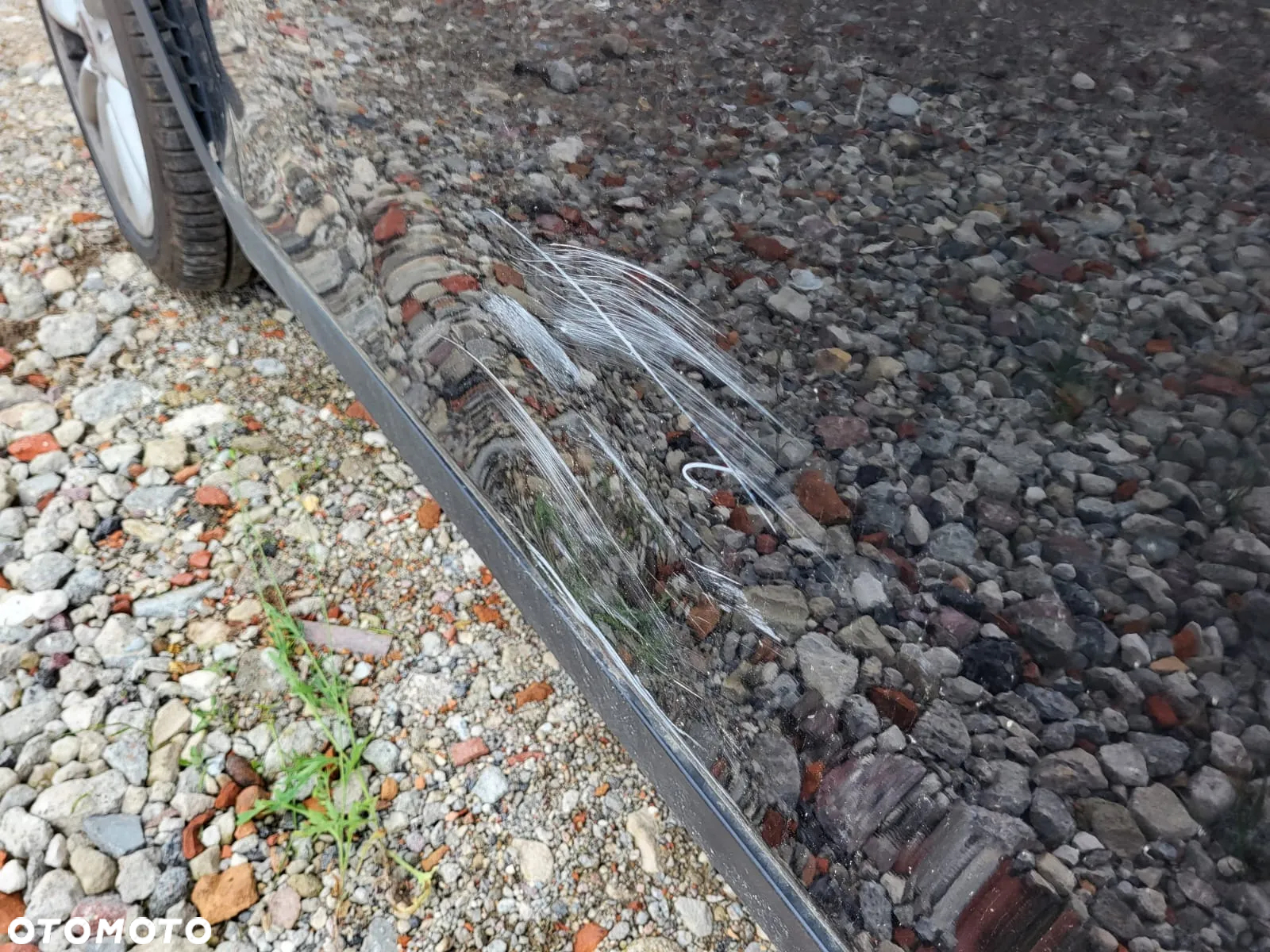 MINI Clubman Cooper Essential Trim - 13