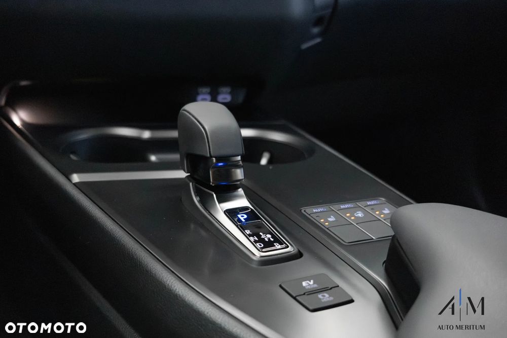 Lexus UX 300h F Sport Design AWD - 18