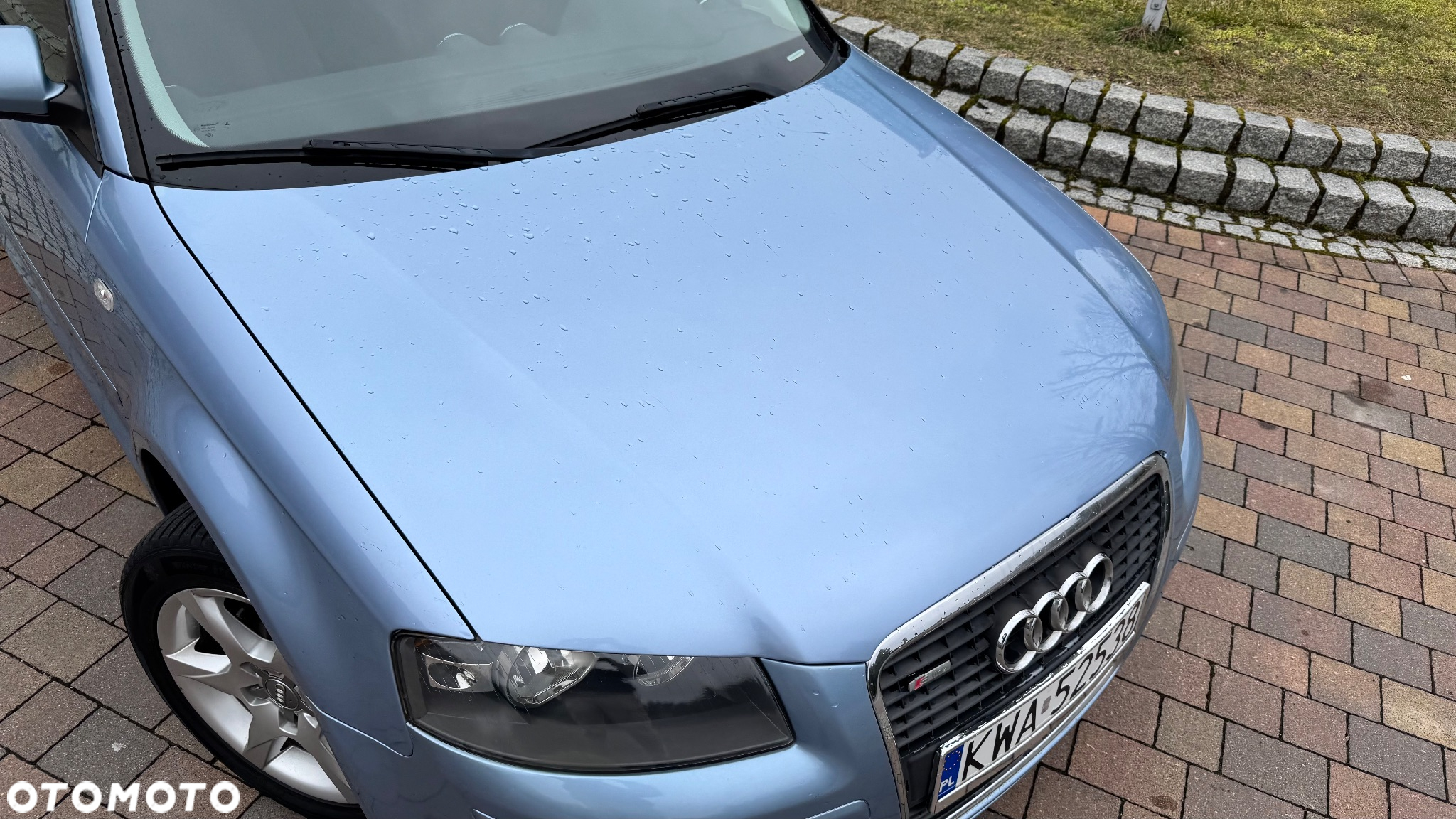 Audi A3 1.9 TDI Ambiente - 15