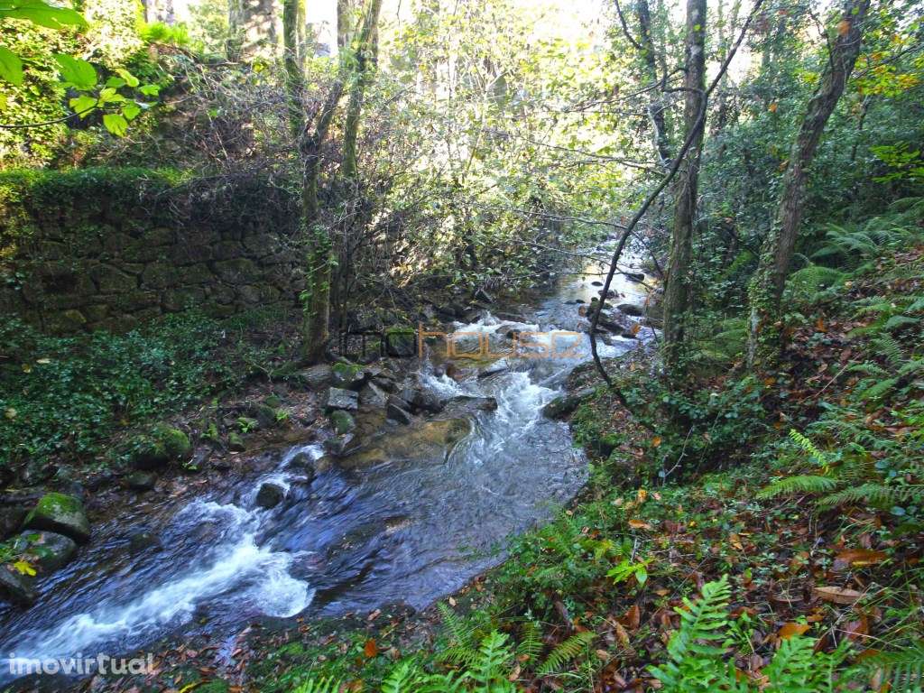 Quinta com frente de Rio - Grande imagem: 3/37
