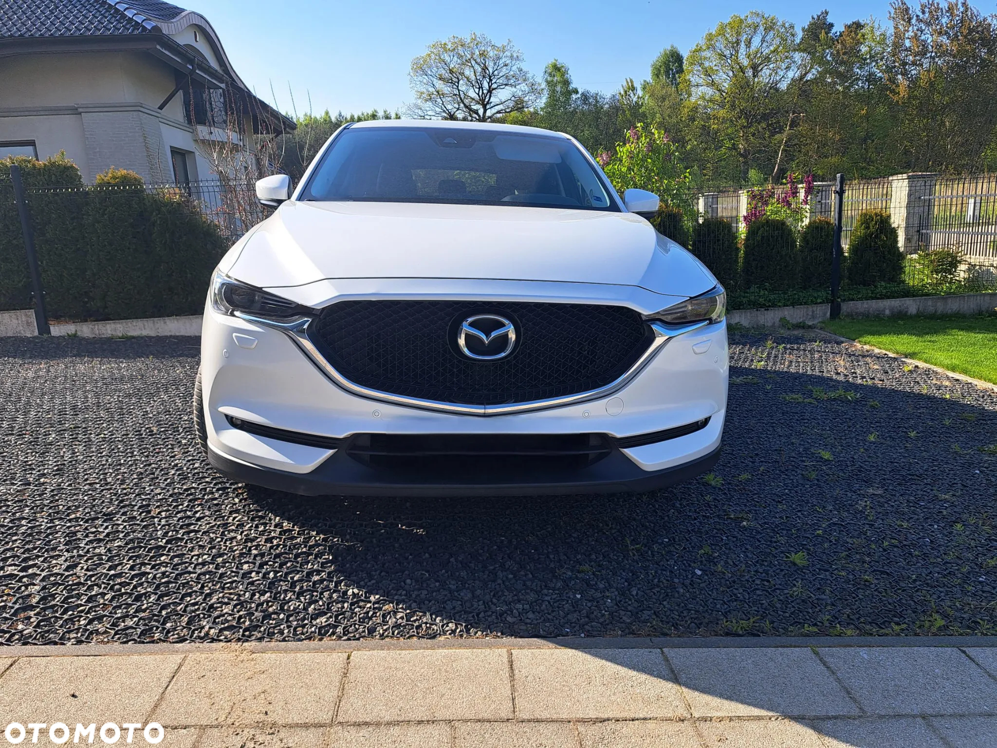 Mazda CX-5 2.0 Skyenergy 2WD - 2