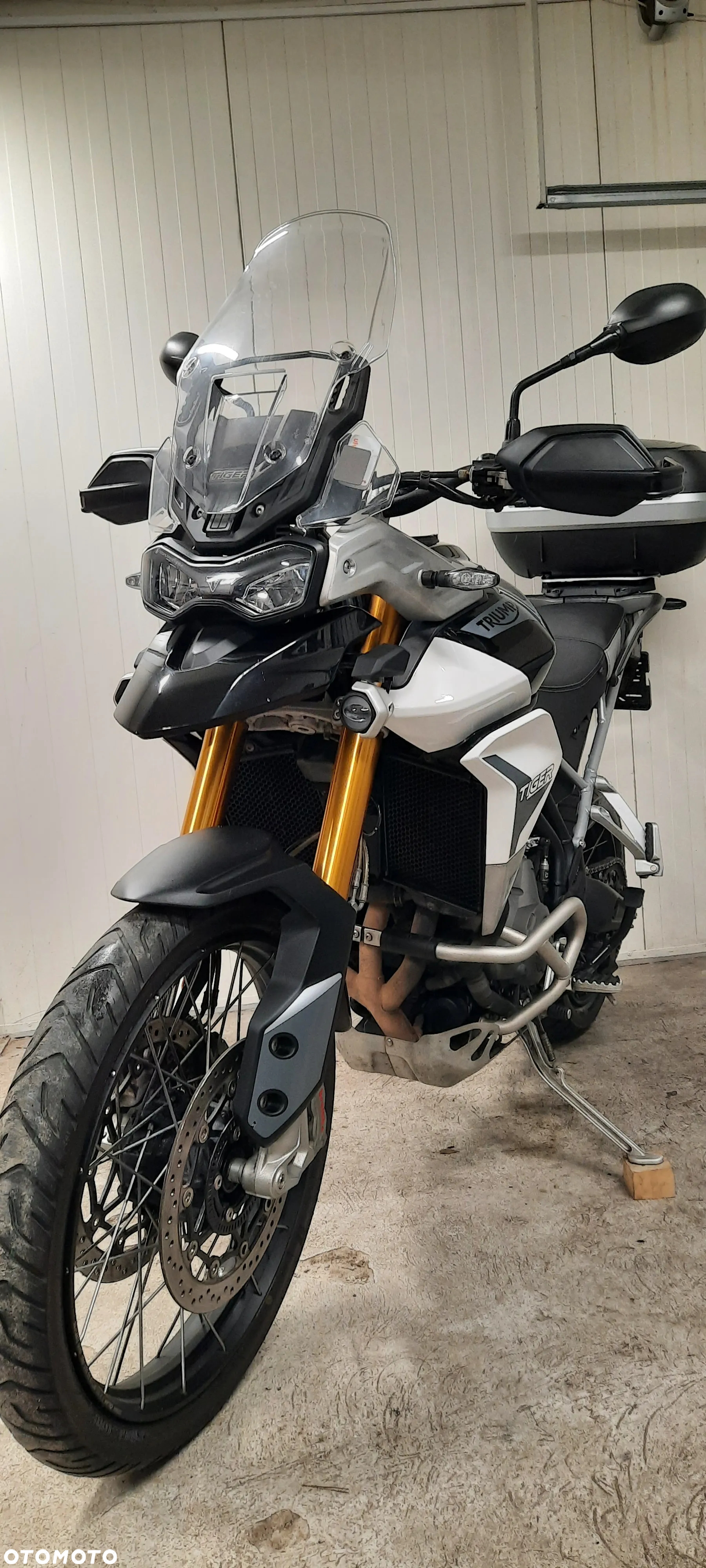 Triumph Tiger - 11