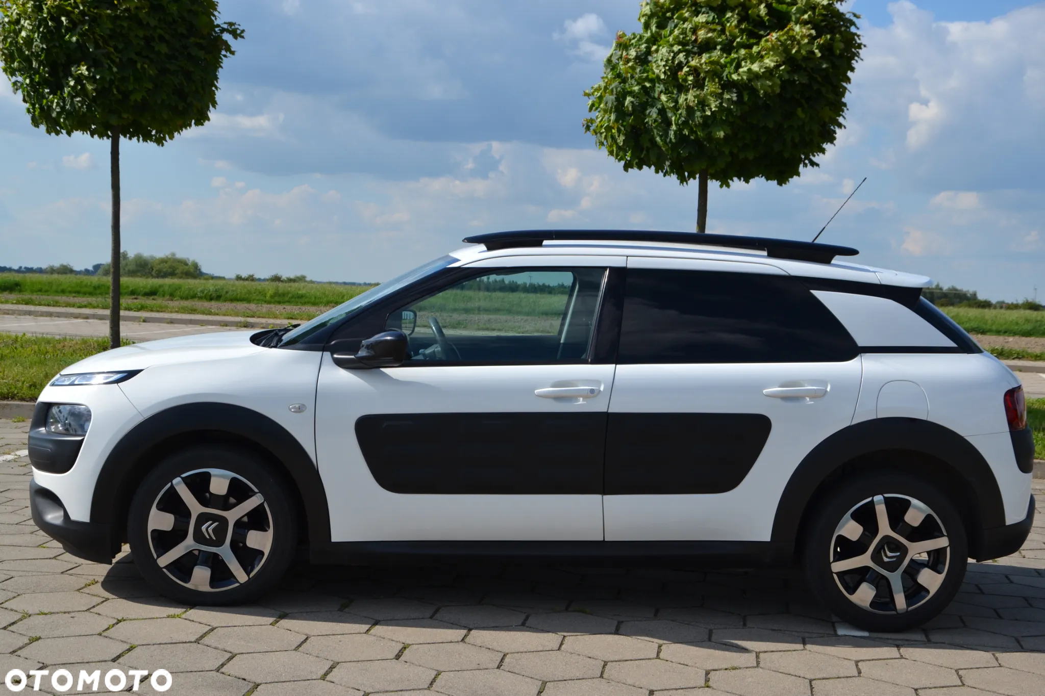 Citroën C4 Cactus 1.6 Blue HDi Shine - 4