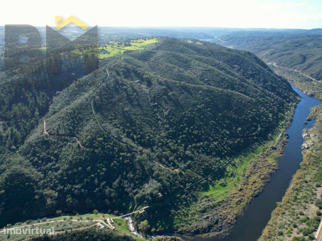 Terreno de 16,75hectares com ruina | Junto ao Rio Tejo - Grande imagem: 2/14
