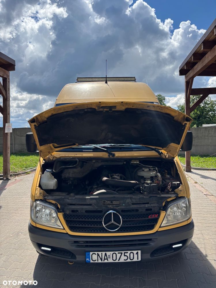 Mercedes-Benz 311 CDI - 18