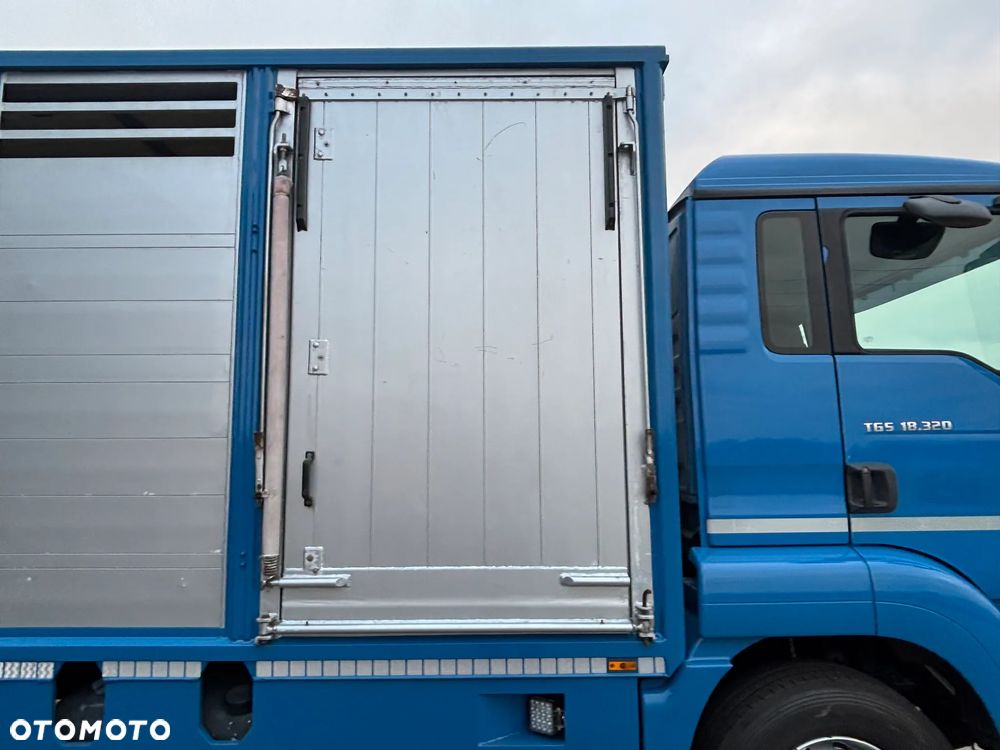 MAN TGS 18.320 2010 rok do przewozu zwierząt , do żywca, do bydła ,zabudowa FINKL z przegordami i wentylatorami , rampa hydrauliczna , z Niemiec - 14