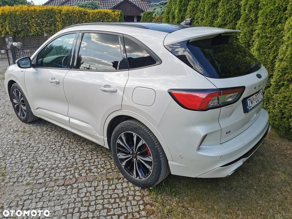 Ford Kuga 2.0 EcoBlue AWD ST-Line X - 7