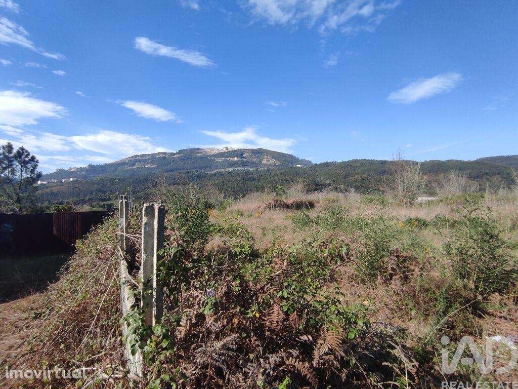 Terreno em Bárrio e Cepões de 66425,00 m2 - Grande imagem: 4/30