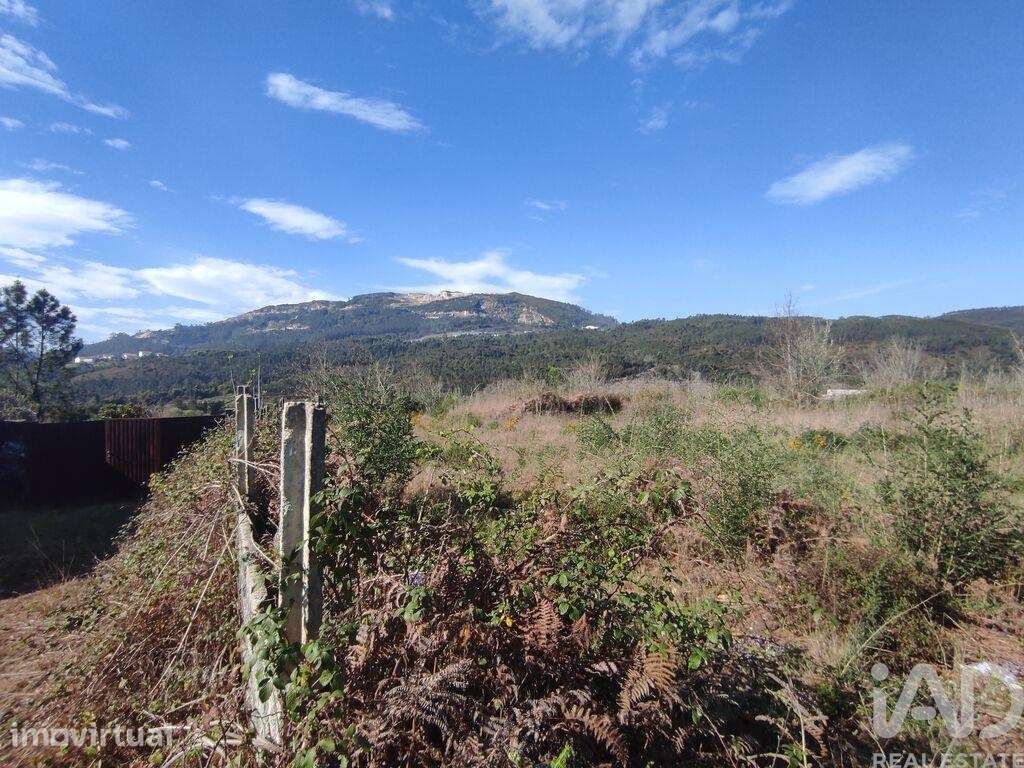 Terreno em Bárrio e Cepões de 66425,00 m2 - Grande imagem: 4/30