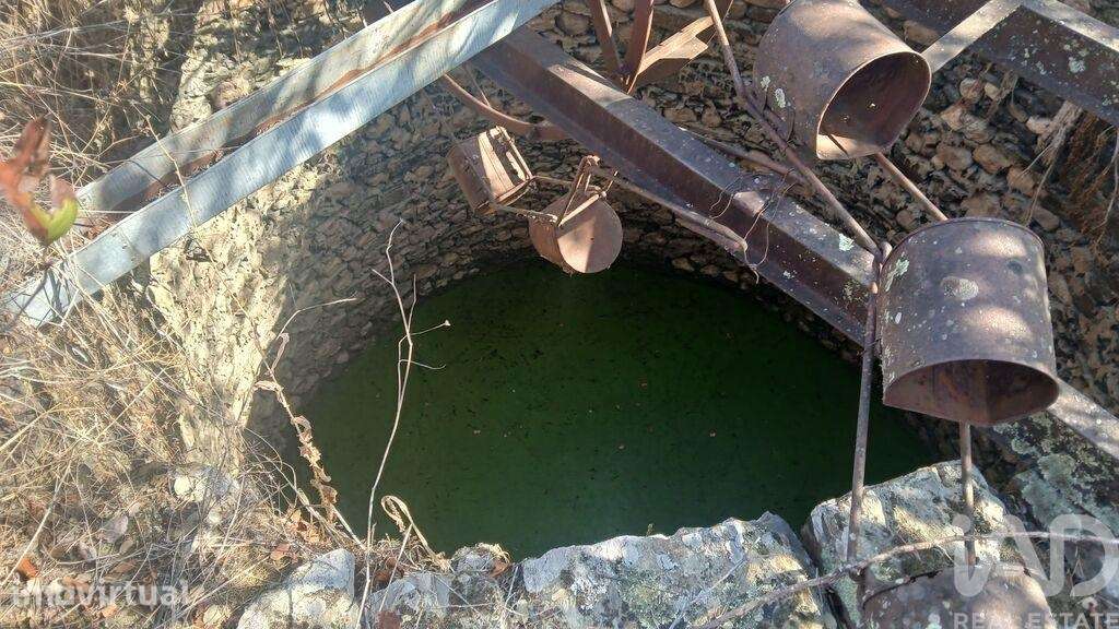 Terreno Agrícola em Sarzedas - Grande imagem: 3/29